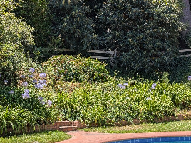 Building Photo - 2077 Mandeville Canyon Rd