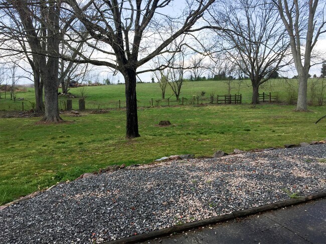 Building Photo - 3003 Sevierville Rd