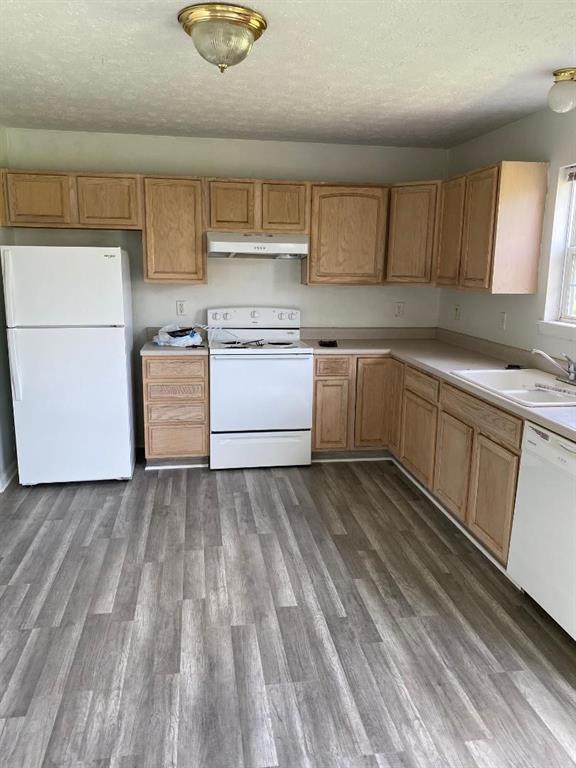 Foto del edificio - 5370 Forest Pine Ln