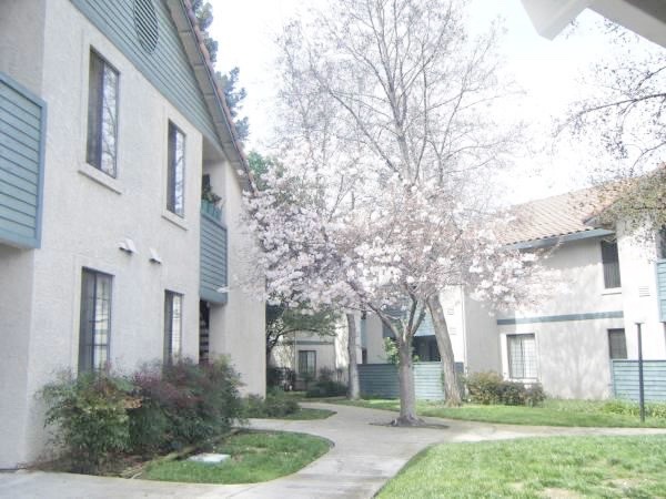 Primary Photo - 231 Dixon Landing Rd