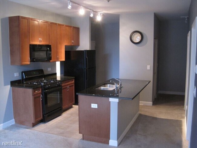 Building Photo - 1 br, 1 bath Condo - 1351 S Halsted St