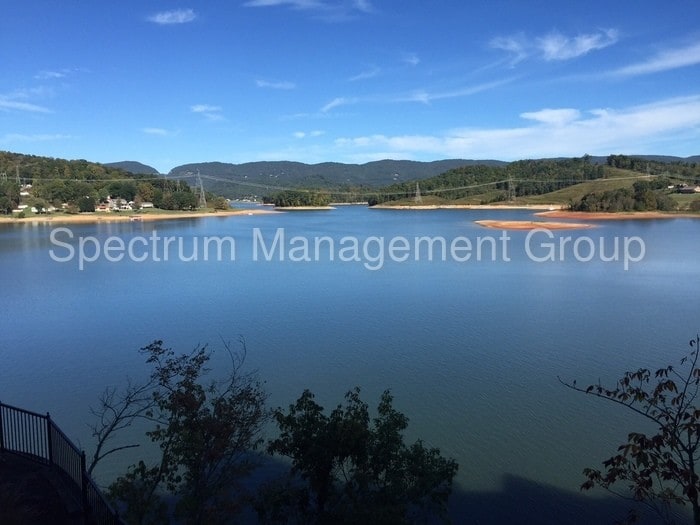 414 Sandpiper Ln, Bean Station, TN 37708 Condo for Rent in Bean