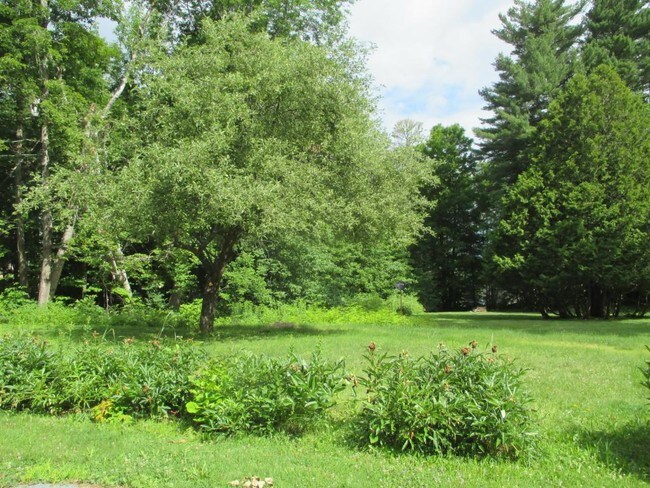 Foto del edificio - 38 Berkley St