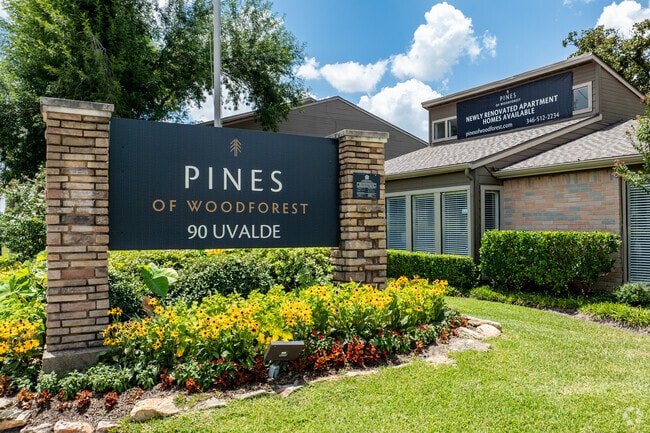 Building Photo - Pines of Woodforest