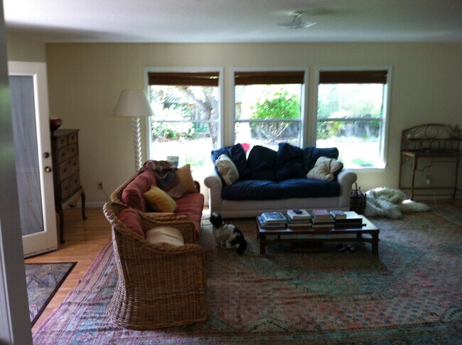 sunken living room opens to huge sunny garden - 255 Deanna Pl