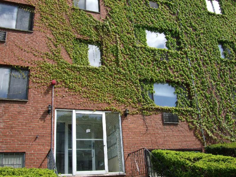 Primary Photo - 30 Allston St