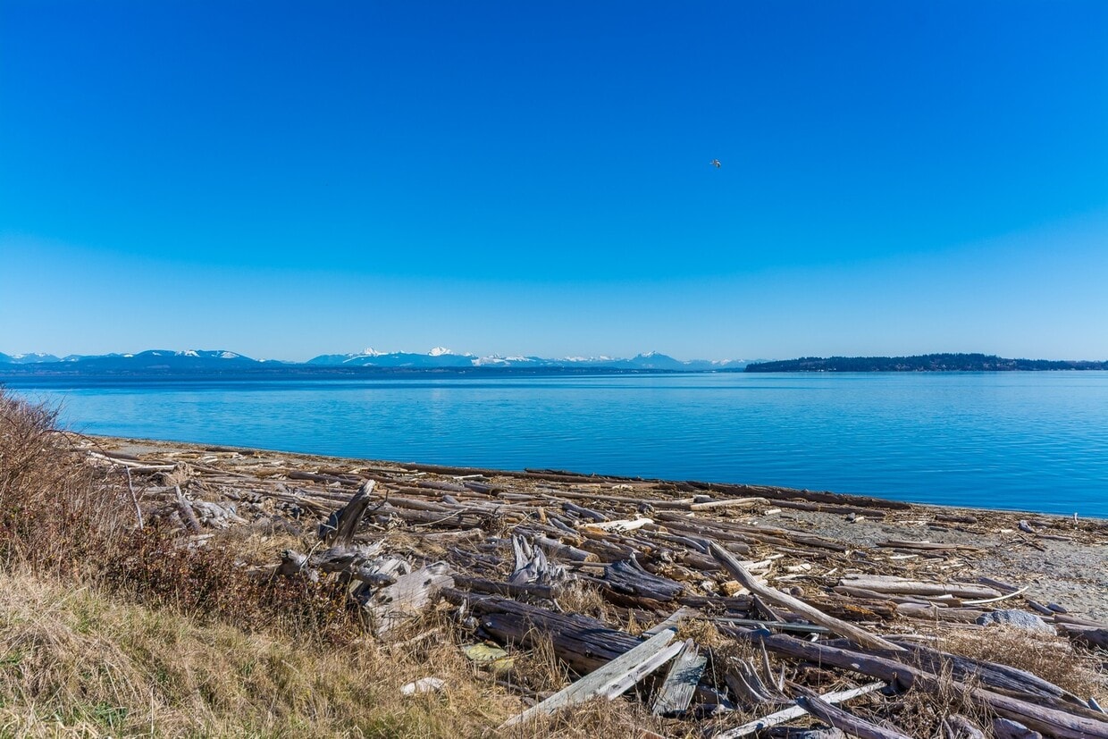 Primary Photo - 4 Bed 1 Bath Home - Waterfront