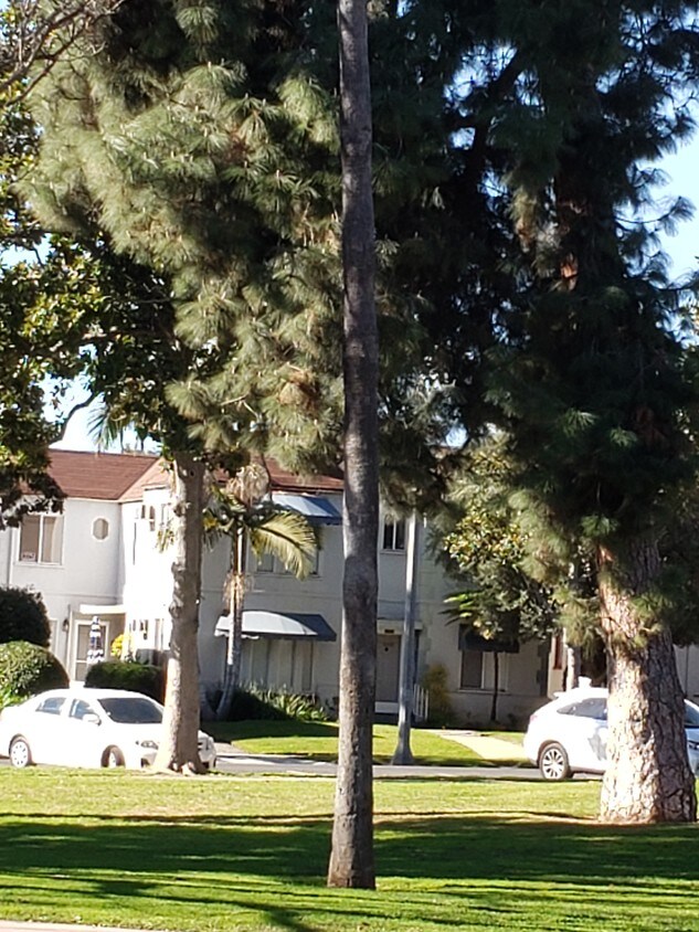 4PLEX / 2nd FL - 305 N Palm Ave
