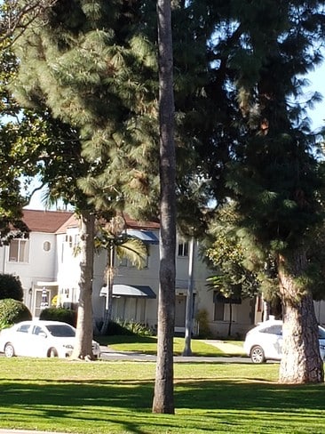 Building Photo - 305 N Palm Ave