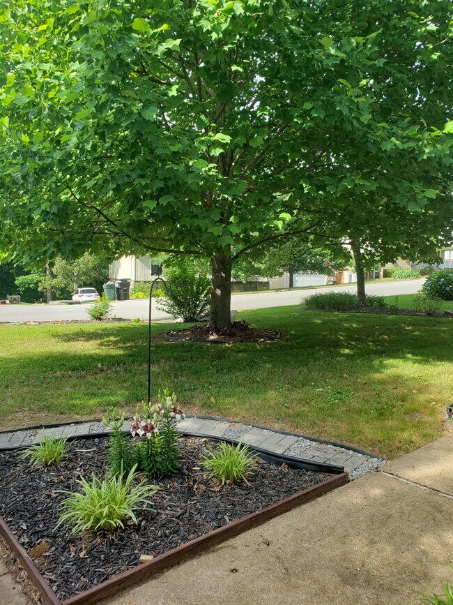 Front yard - 6830 Benwood Dr