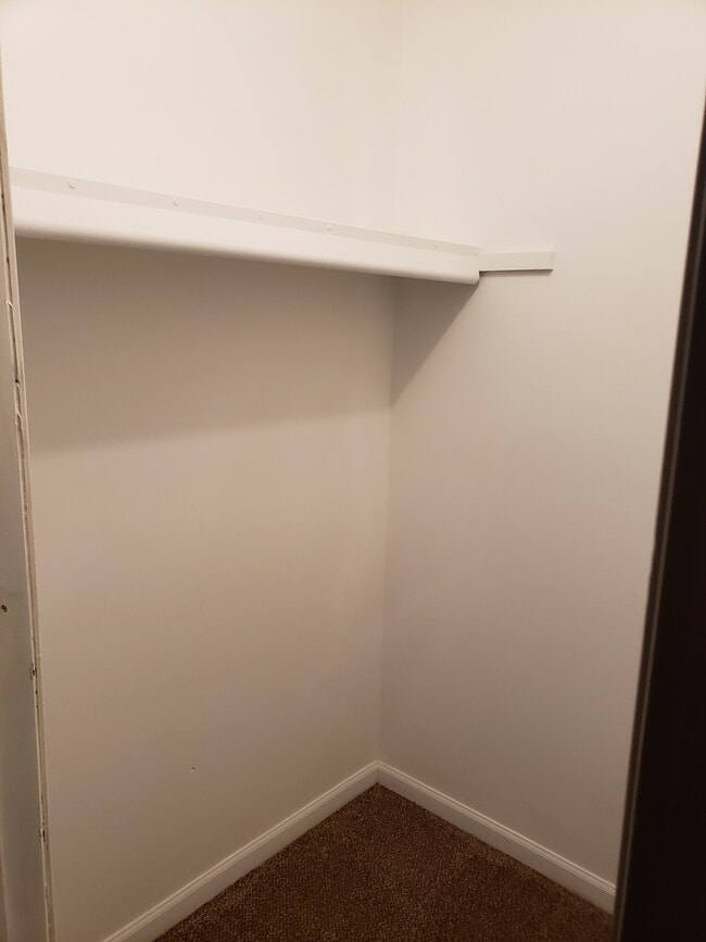 Master BR walk in closet - 41177 S Woodbury Green Dr