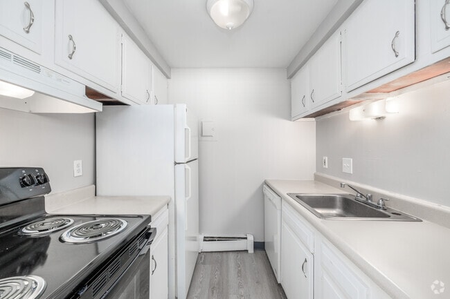 Interior Photo - Pine Tree