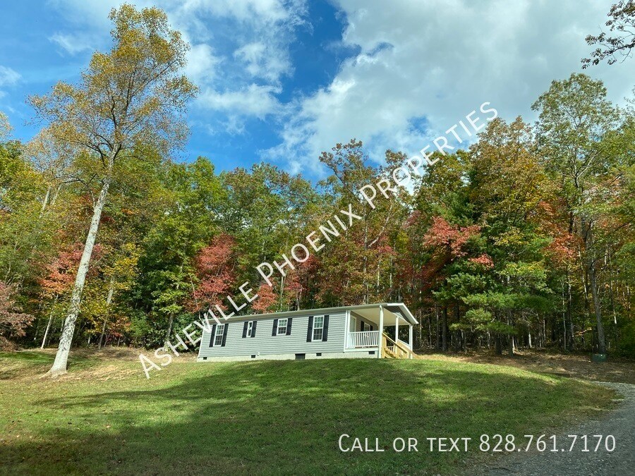 37 Mink Farm Road House Rental in Leicester, NC