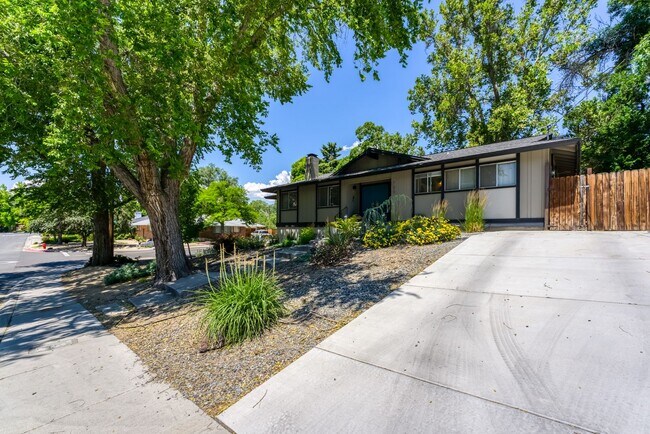 Building Photo - Renovated Mid Century Modern Home in the D...