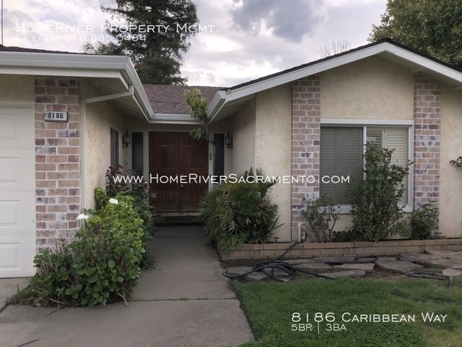 Building Photo - 5 Bedroom house-New Paint-Huge Yard!