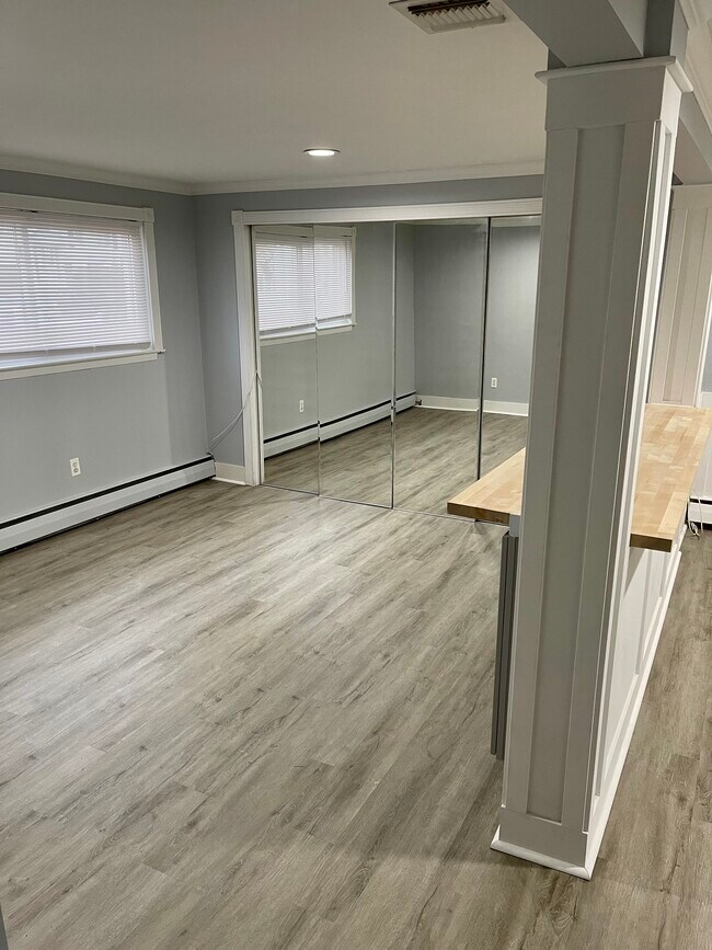 Plenty of closet space - 1584 N Monroe Ave