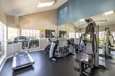 This single-floor fitness center is thoughtfully designed to provide a functional and motivating workout environment. The space features striking vaulted ceilings with a bold teal accent panel that adds a pop of color and visual height, creating an open and airy atmosphere throughout. Large, multi-pane windows line the walls, flooding the interior with abundant natural light and offering pleasant views of the surrounding landscaped outdoor areas.

The main workout area is outfitted with a range of cardio equipment, including treadmills and elliptical trainers, as well as a multi-function cable strength training machine with an adjustable bench — providing options for both cardiovascular and resistance training. The durable dark rubber flooring offers both safety and comfort underfoot, well-suited to a high-activity environment.

Full-length mirrors span one wall, enhancing the sense of space while allowing users to monitor their form during exercise. The textured ceiling and clean white trim details complement the neutral beige wall tones, giving the space a tidy, well-maintained appearance. A dedicated entry area with a white paneled door and large adjacent windows provides a welcoming transition into the facility. Informational signage and posted notices are neatly displayed, reflecting an organized and community-oriented fitness space.