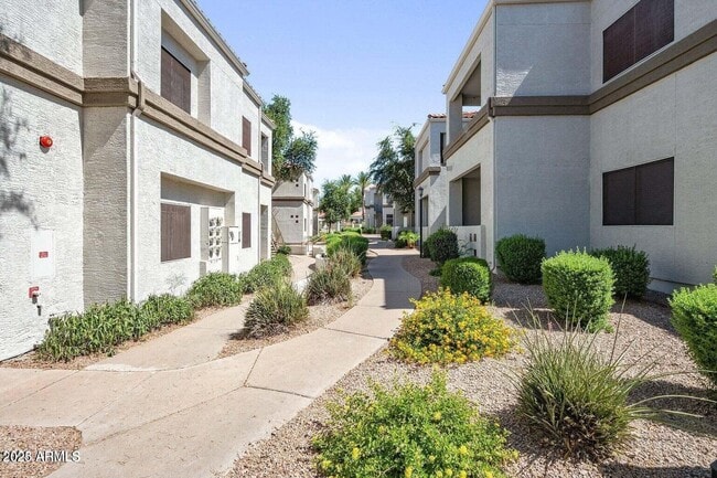 Building Photo - 11375 E Sahuaro Dr