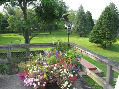 Foto del edificio - 6 Vitali Cilli Ave