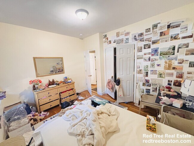 Building Photo - 62 Egmont St