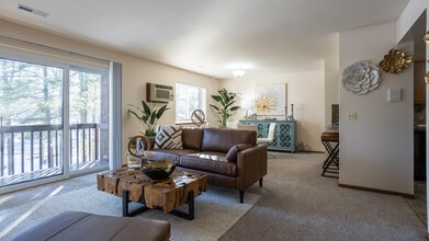 Living Room from Entry - Chateau Village and Deer View Apartments