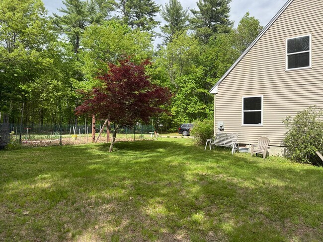 Building Photo - Sunny & Spacious 4 bedroom home