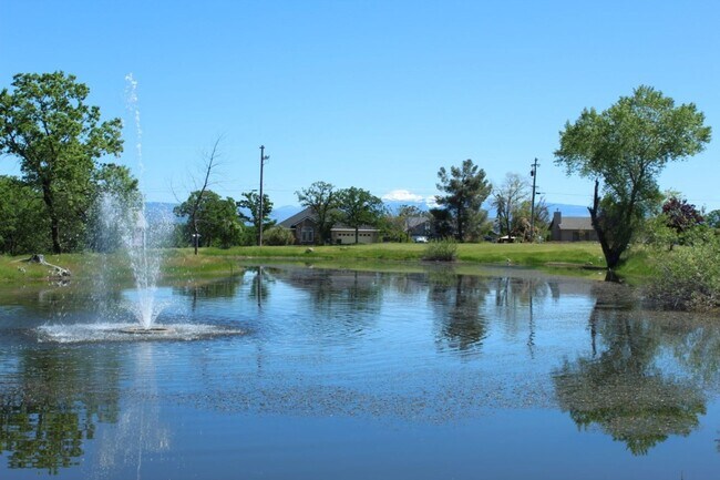 Building Photo - 3 Bedroom Home in Beautiful Lake California!