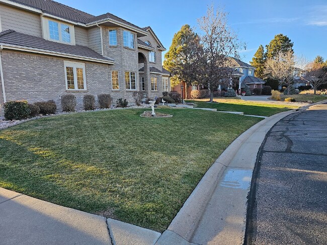 Foto del edificio - 74 Falcon Hills Dr