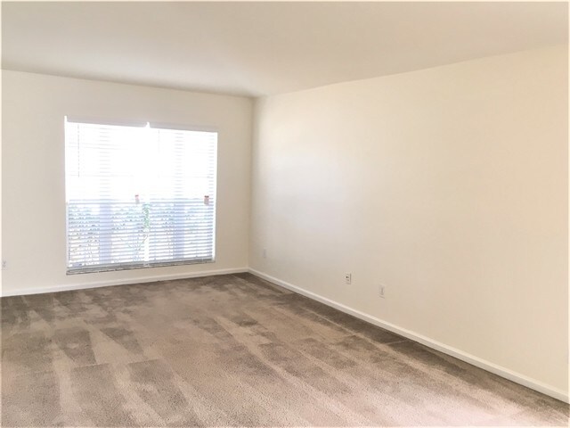 Foto del edificio - 12426 Tree Pointe Ct