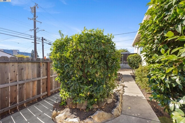 Building Photo - 19695 Bernal St