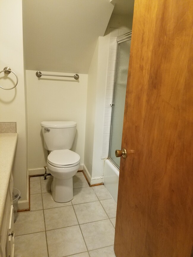 Bathroom - 211 Cass St