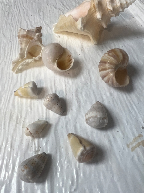 Photo - 307 E Bay Ave (Newport Beach, CA)