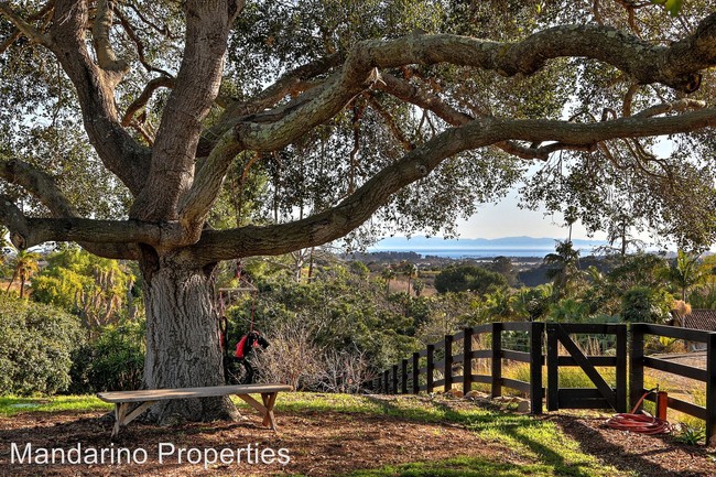 Building Photo - 3 br, 2 bath House - 1420 Holiday Hill Road