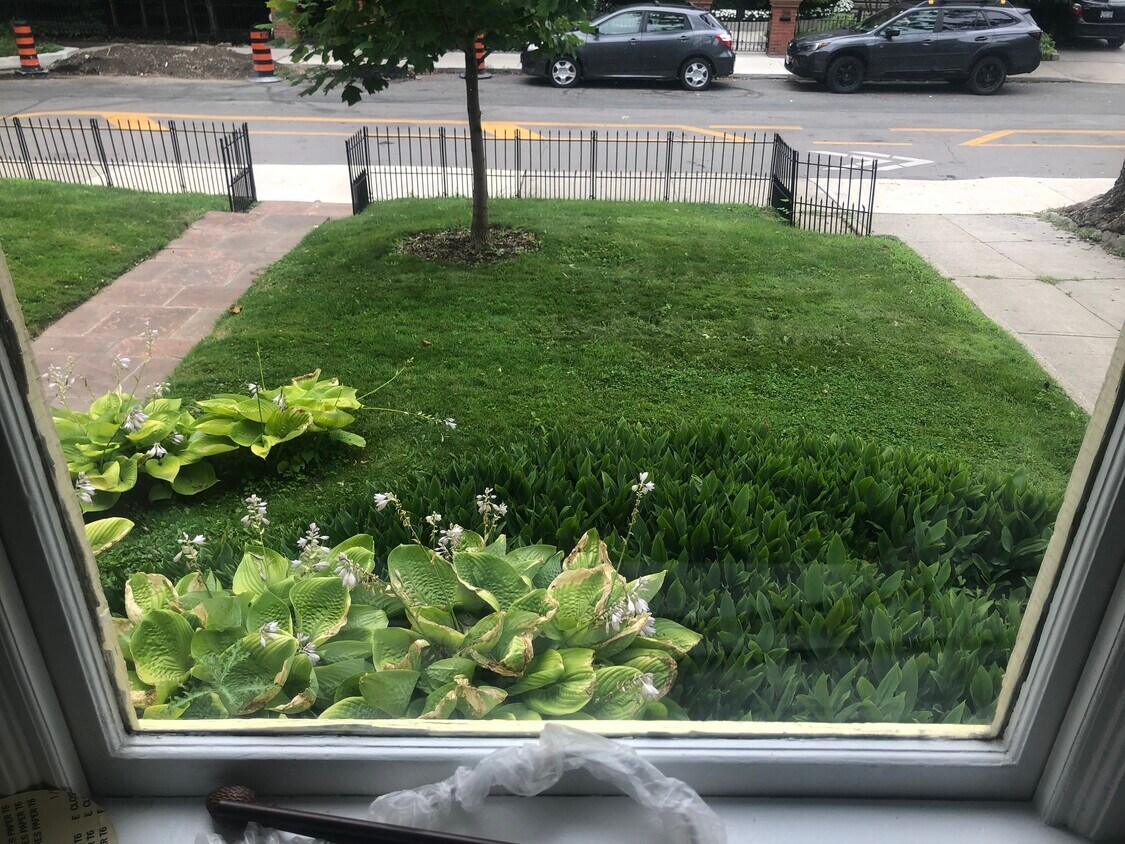 Photo du bâtiment - Palmerston Blvd 1 Bedroom Unit with privat...