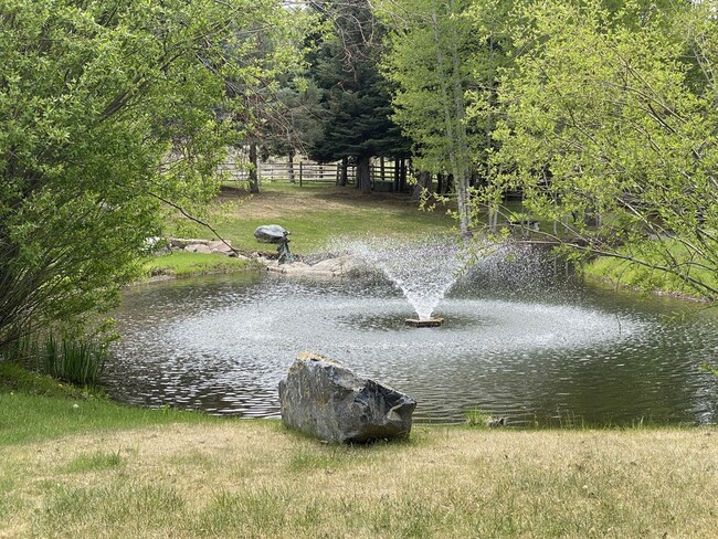 Year round water flow - 93 Townsend Gulch Rd