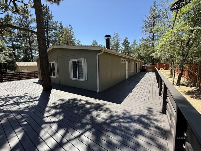 Building Photo - Brand New in town 3 bedroom