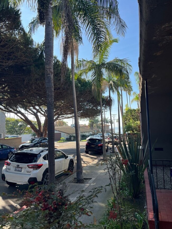 Foto del edificio - Renovated 1BR Steps to Windansea Beach