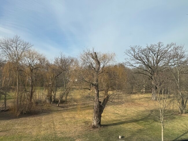 Vista desde la cocina - 2237 Evergreen Rd