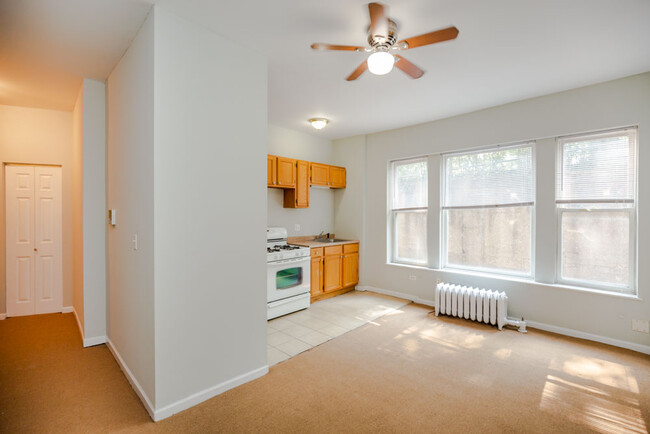 Building Photo - Studio Apartment in Bronzeville - Recently...