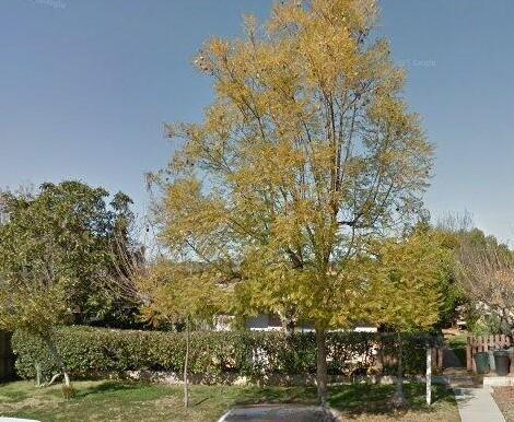 Primary Photo - 1148 E 3rd Ave