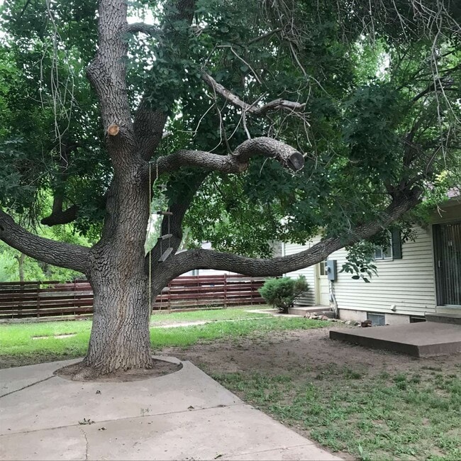 Building Photo - 1227 City Park Ave