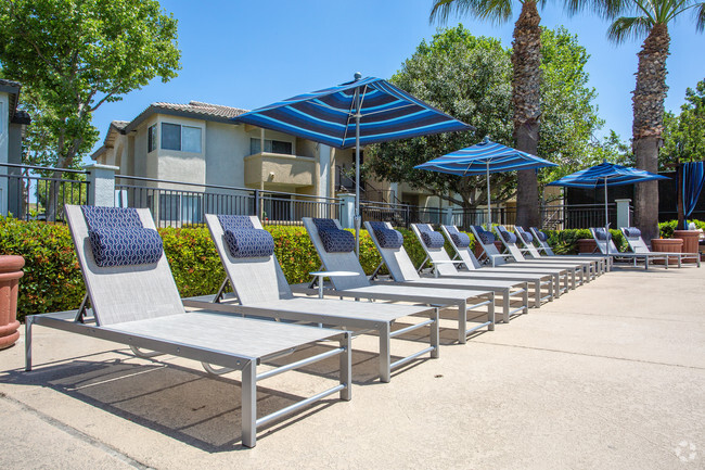 Pool - The Summit at Chino Hills Apartment Homes