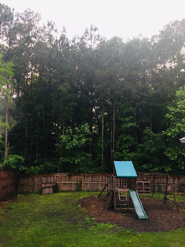 1008 Carpenter Fletcher Rd, Durham, NC 27713 House Rental in Durham