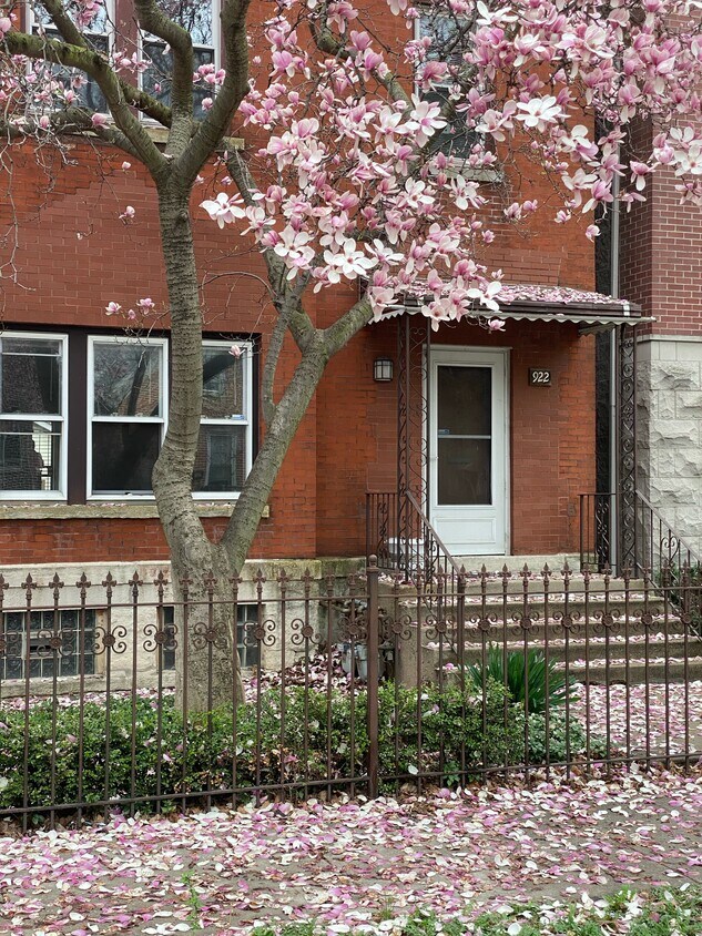 Front Elevation - 922 S Claremont Ave