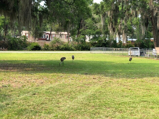 Foto del edificio - 18449 SE 52nd Pl