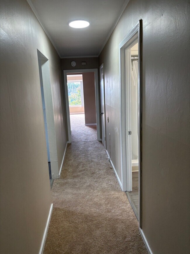 Photo - 1411 E 3rd Ave Apartment