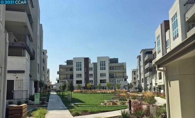 Foto del edificio - 45273 Tom Blalock St