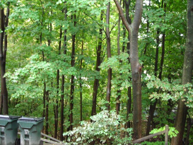 view to south - 6 Everett St