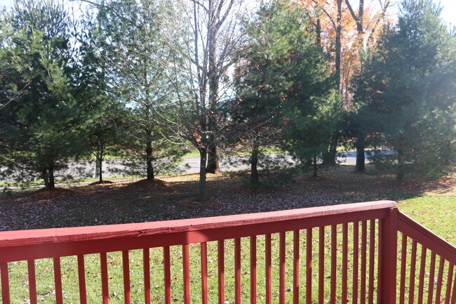 Deck / Backyard - 354 Hawthorne Rd
