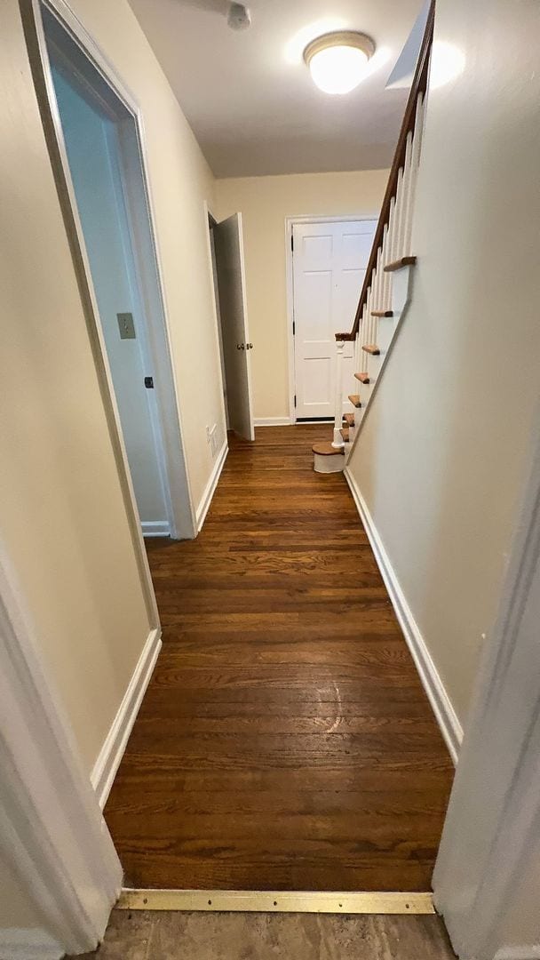 Foto del edificio - Awesome House Near South UGA Campus!